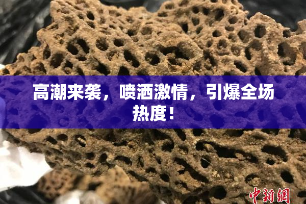 高潮来袭，喷洒激情，引爆全场热度！