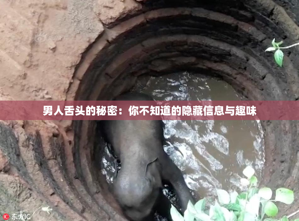 男人舌头的秘密：你不知道的隐藏信息与趣味