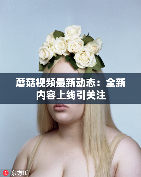 蘑菇视频最新动态：全新内容上线引关注