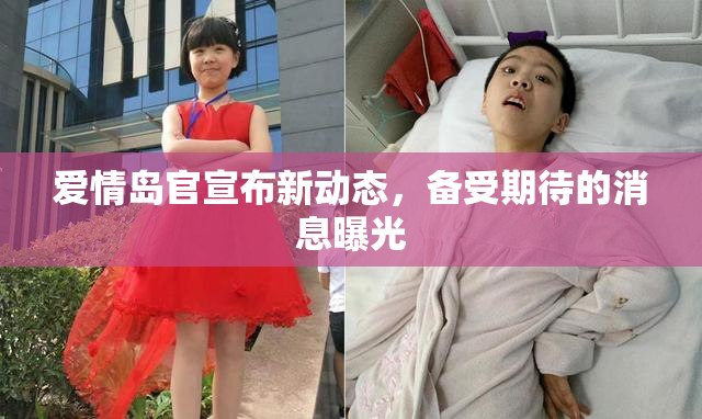 爱情岛官宣布新动态，备受期待的消息曝光