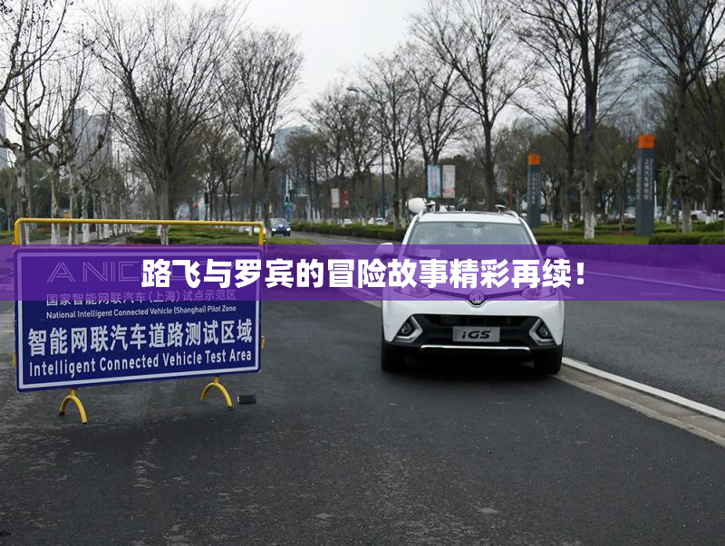 路飞与罗宾的冒险故事精彩再续！