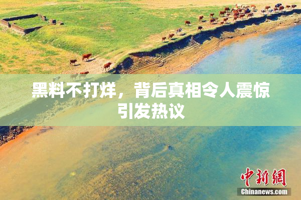 黑料不打烊，背后真相令人震惊引发热议