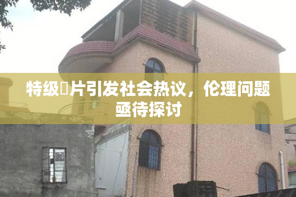 特级婬片引发社会热议，伦理问题亟待探讨