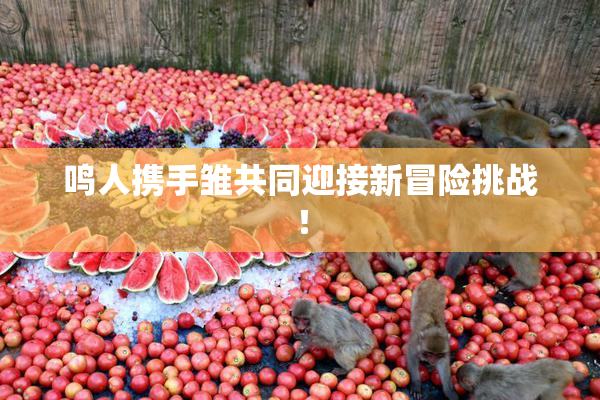 鸣人携手雏共同迎接新冒险挑战！