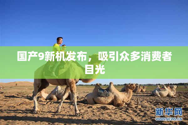 国产9新机发布，吸引众多消费者目光