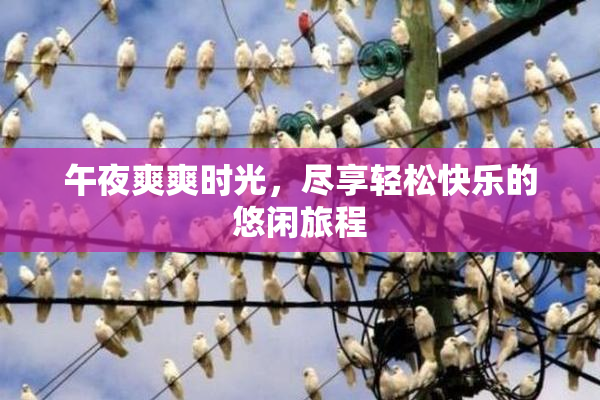 午夜爽爽时光，尽享轻松快乐的悠闲旅程