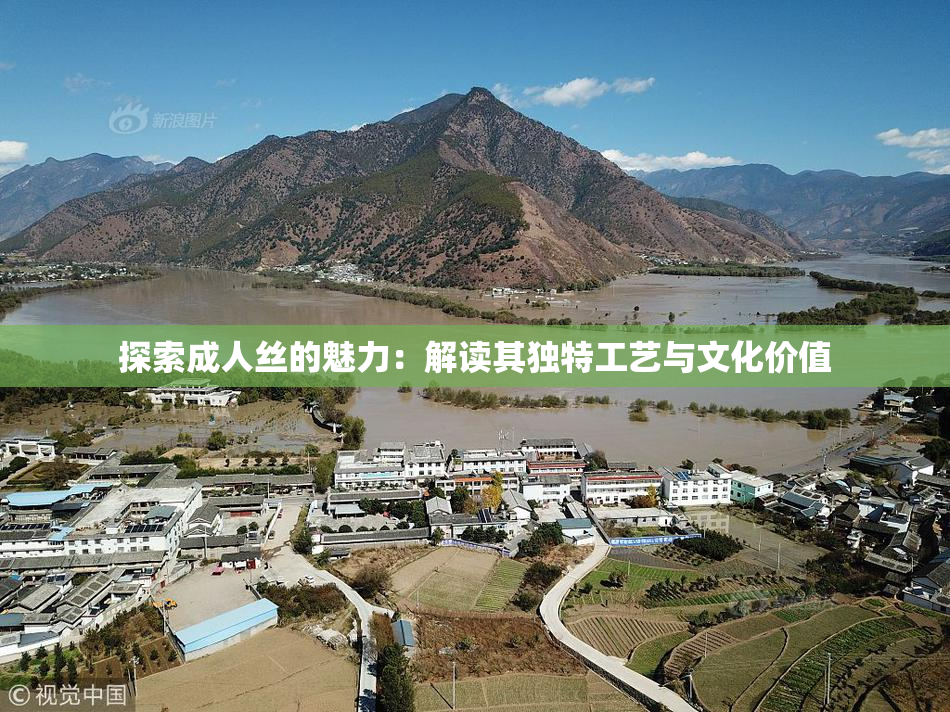 探索成人丝的魅力：解读其独特工艺与文化价值
