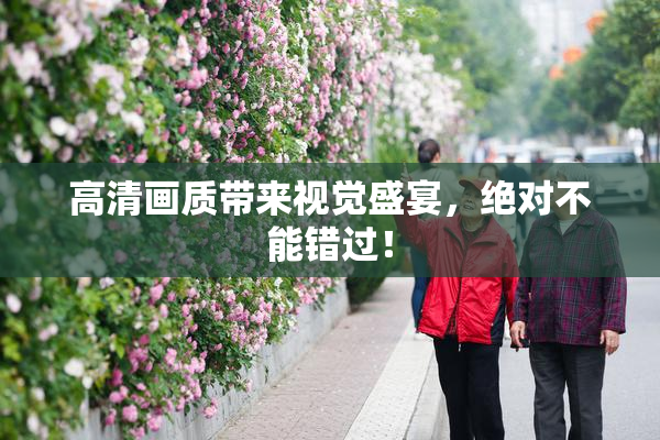 高清画质带来视觉盛宴，绝对不能错过！
