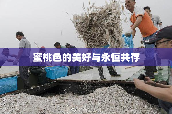 蜜桃色的美好与永恒共存