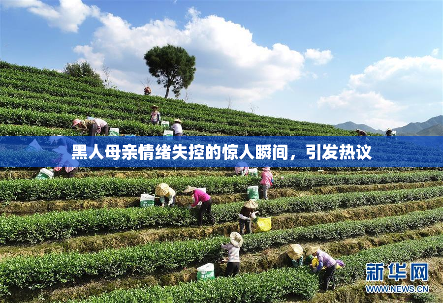 黑人母亲情绪失控的惊人瞬间，引发热议