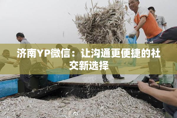济南YP微信：让沟通更便捷的社交新选择