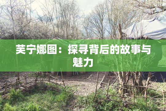 芙宁娜图：探寻背后的故事与魅力