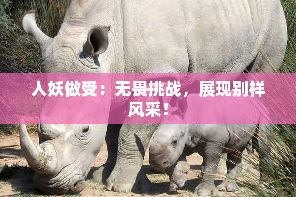 人妖做受：无畏挑战，展现别样风采！
