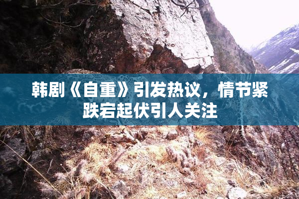 韩剧《自重》引发热议，情节紧跌宕起伏引人关注