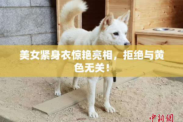美女紧身衣惊艳亮相，拒绝与黄色无关！