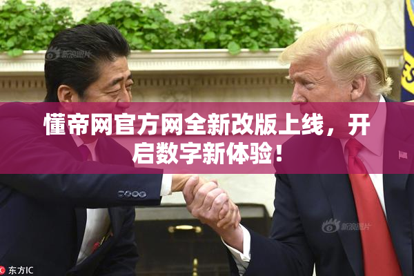 懂帝网官方网全新改版上线，开启数字新体验！