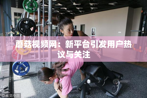 蘑菇视频网：新平台引发用户热议与关注