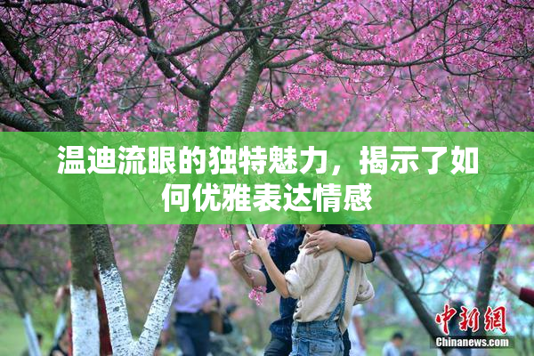 温迪流眼的独特魅力，揭示了如何优雅表达情感