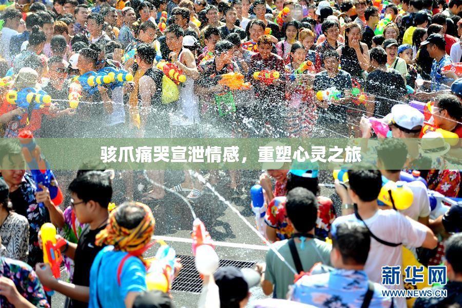 骇爪痛哭宣泄情感，重塑心灵之旅