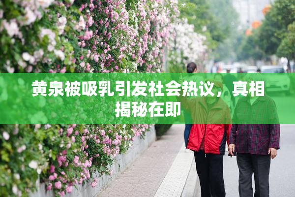 黄泉被吸乳引发社会热议，真相揭秘在即