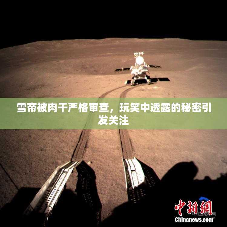 雪帝被肉干严格审查，玩笑中透露的秘密引发关注