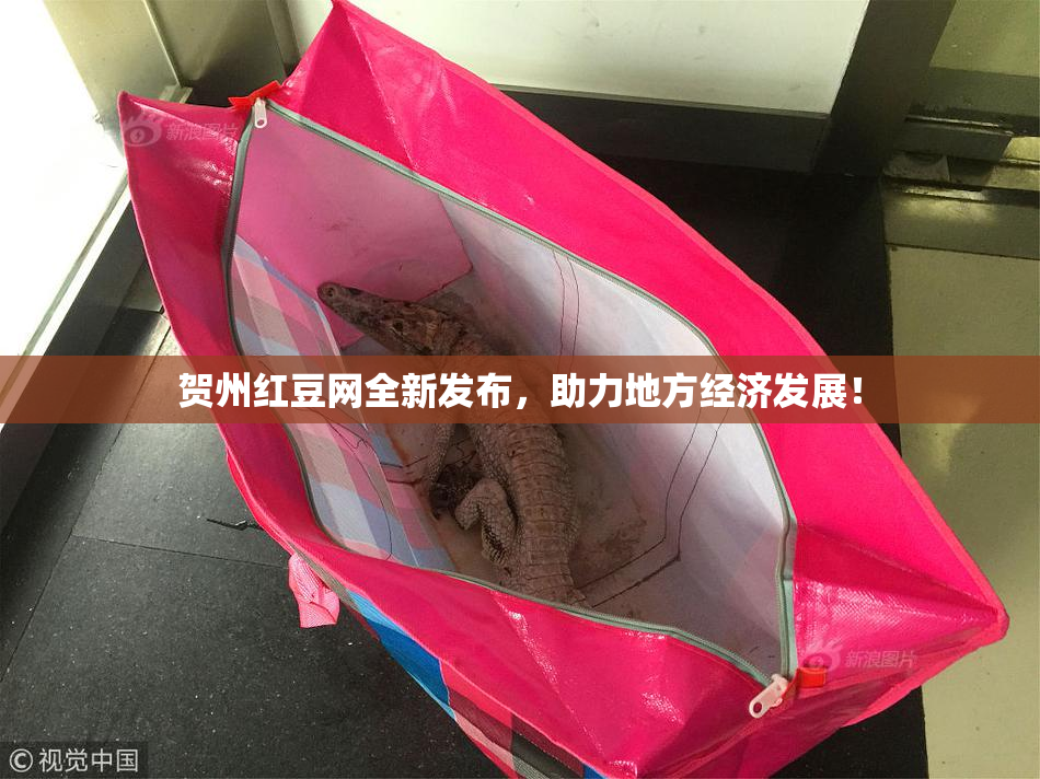 贺州红豆网全新发布，助力地方经济发展！