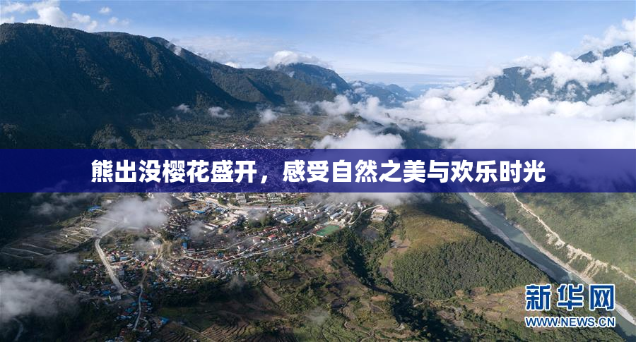 熊出没樱花盛开，感受自然之美与欢乐时光
