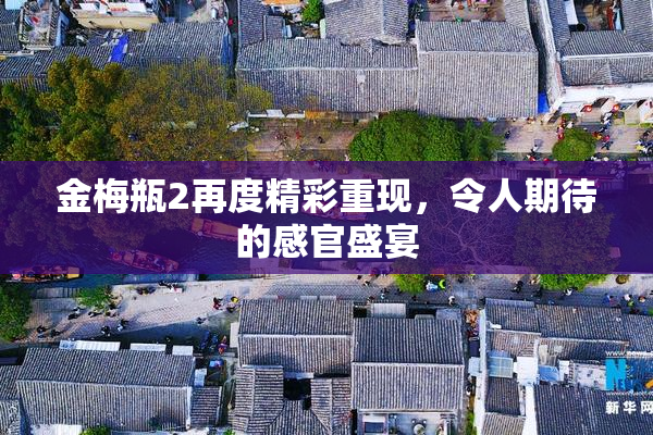 金梅瓶2再度精彩重现，令人期待的感官盛宴