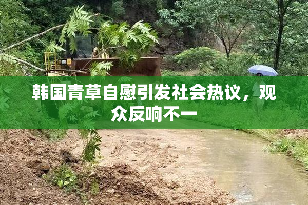 韩国青草自慰引发社会热议，观众反响不一