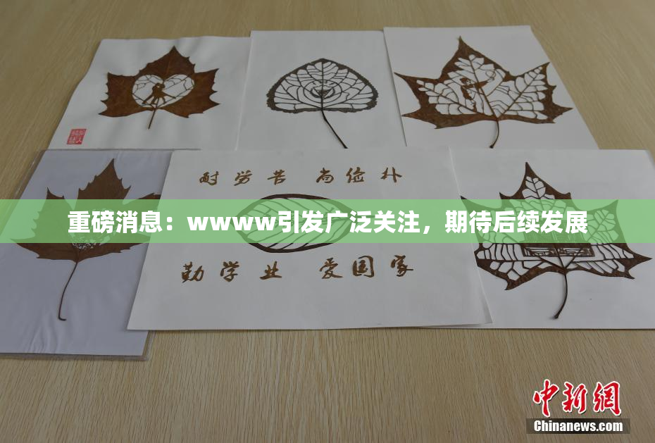 重磅消息：wwww引发广泛关注，期待后续发展