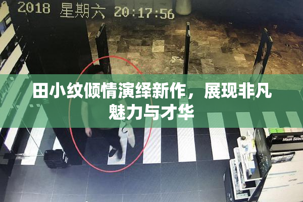 田小纹倾情演绎新作，展现非凡魅力与才华