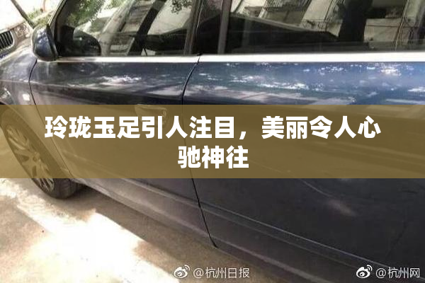 玲珑玉足引人注目，美丽令人心驰神往