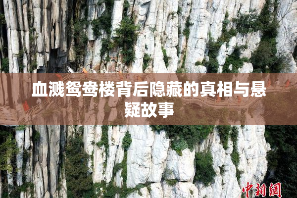 血溅鸳鸯楼背后隐藏的真相与悬疑故事