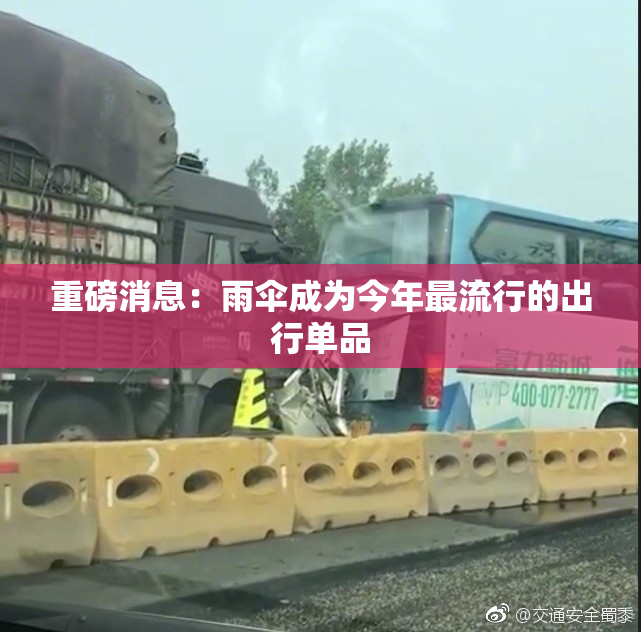 重磅消息：雨伞成为今年最流行的出行单品
