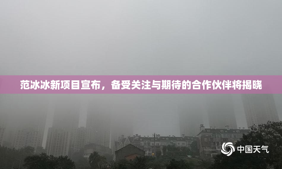 范冰冰新项目宣布，备受关注与期待的合作伙伴将揭晓