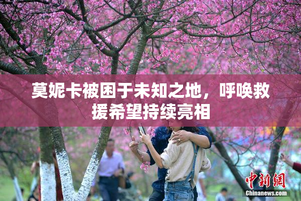 莫妮卡被困于未知之地，呼唤救援希望持续亮相