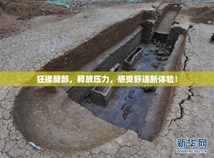 狂揉腿部，释放压力，感受舒适新体验！