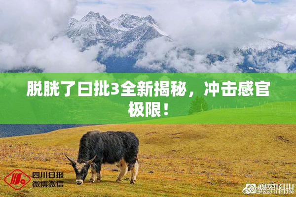 脱胱了曰批3全新揭秘，冲击感官极限！