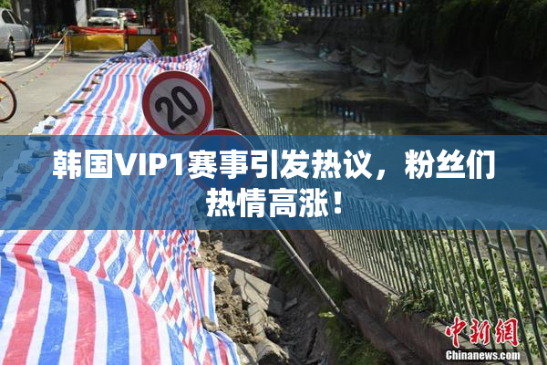 韩国VIP1赛事引发热议，粉丝们热情高涨！