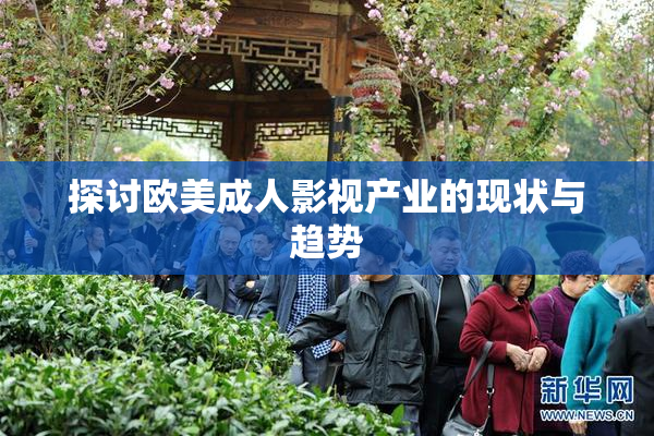 探讨欧美成人影视产业的现状与趋势