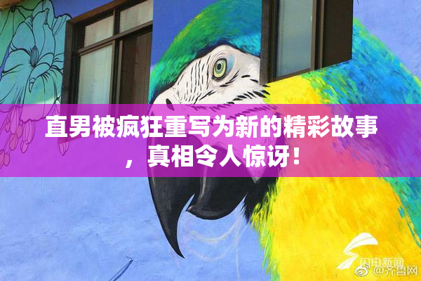 直男被疯狂重写为新的精彩故事，真相令人惊讶！