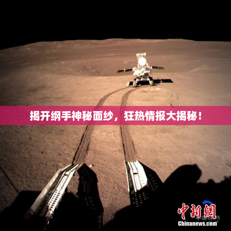 揭开纲手神秘面纱，狂热情报大揭秘！
