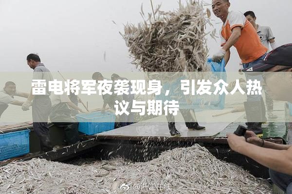 雷电将军夜袭现身，引发众人热议与期待