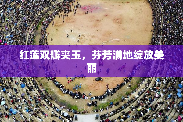 红莲双瓣夹玉，芬芳满地绽放美丽