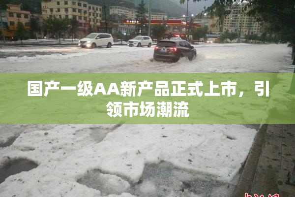 国产一级AA新产品正式上市，引领市场潮流