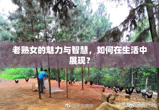 老熟女的魅力与智慧，如何在生活中展现？