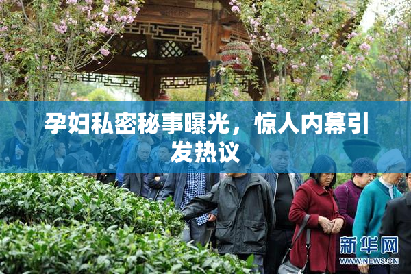 孕妇私密秘事曝光，惊人内幕引发热议