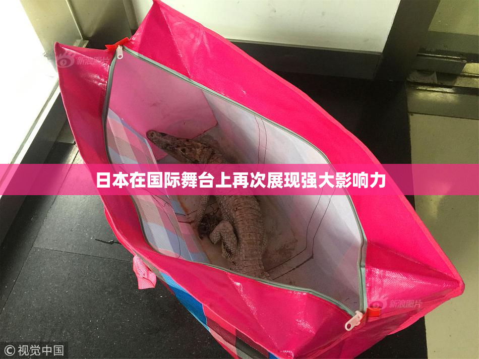 日本在国际舞台上再次展现强大影响力