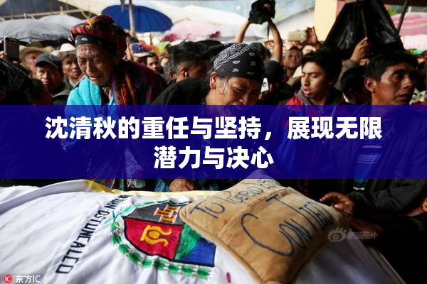 沈清秋的重任与坚持，展现无限潜力与决心