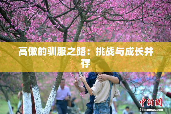 高傲的驯服之路：挑战与成长并存